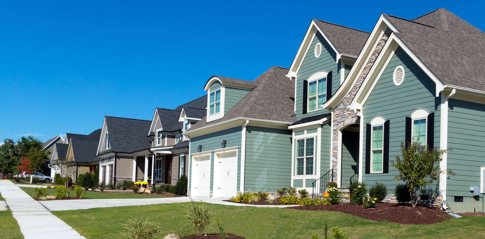 Woman with golden retriever at the beach